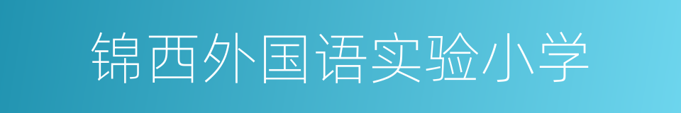 锦西外国语实验小学的同义词