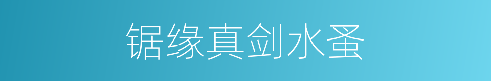 锯缘真剑水蚤的同义词