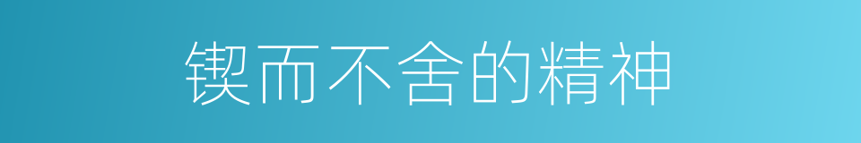 锲而不舍的精神的同义词