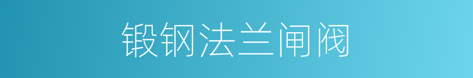 锻钢法兰闸阀的同义词