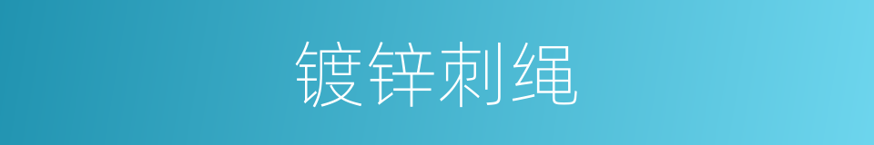 镀锌刺绳的同义词