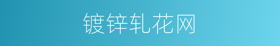 镀锌轧花网的同义词