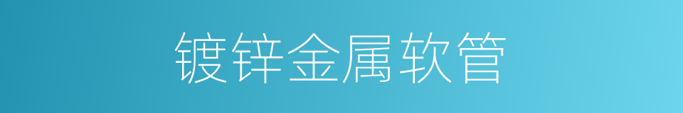 镀锌金属软管的同义词
