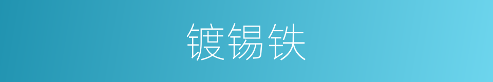 镀锡铁的意思