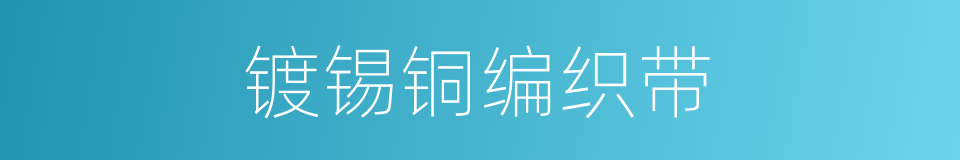 镀锡铜编织带的同义词