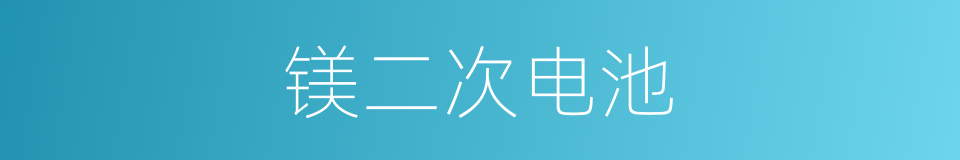 镁二次电池的同义词