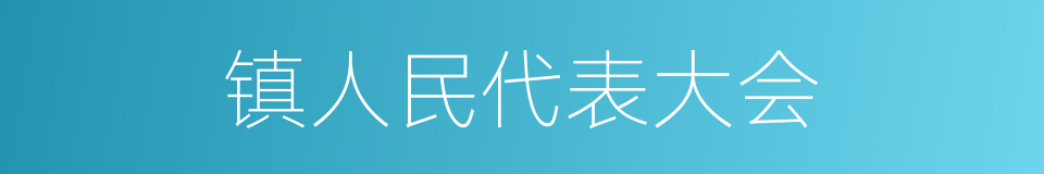 镇人民代表大会的同义词