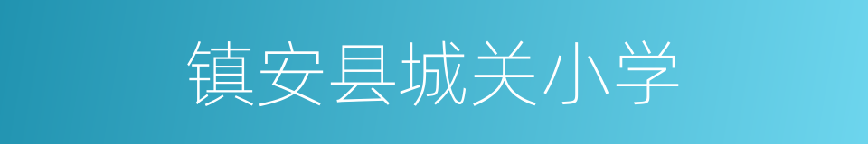 镇安县城关小学的同义词