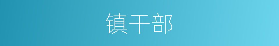 镇干部的同义词