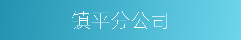 镇平分公司的同义词