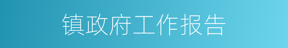 镇政府工作报告的同义词