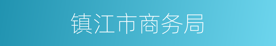 镇江市商务局的同义词
