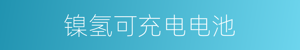 镍氢可充电电池的同义词