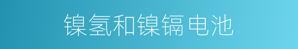 镍氢和镍镉电池的同义词