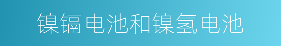 镍镉电池和镍氢电池的同义词