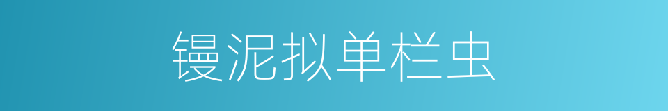镘泥拟单栏虫的同义词
