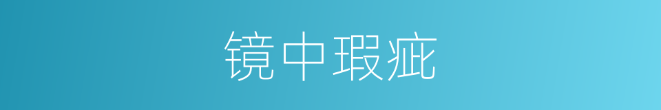 镜中瑕疵的同义词