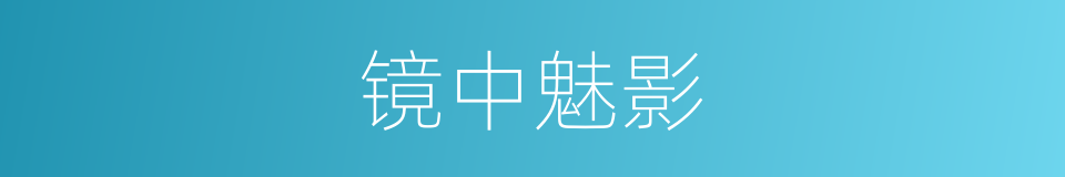镜中魅影的同义词
