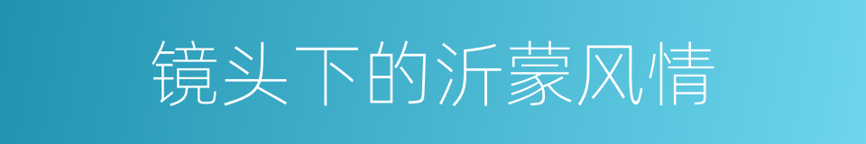 镜头下的沂蒙风情的同义词