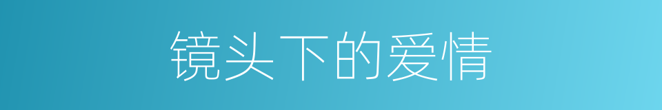 镜头下的爱情的同义词