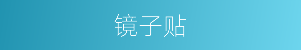 镜子贴的同义词