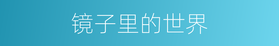 镜子里的世界的同义词