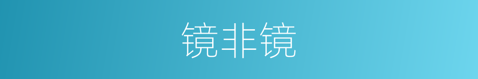 镜非镜的同义词