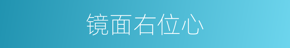 镜面右位心的同义词