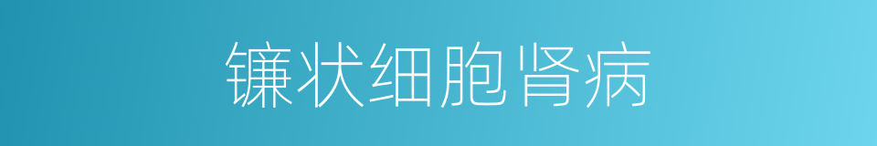 镰状细胞肾病的同义词