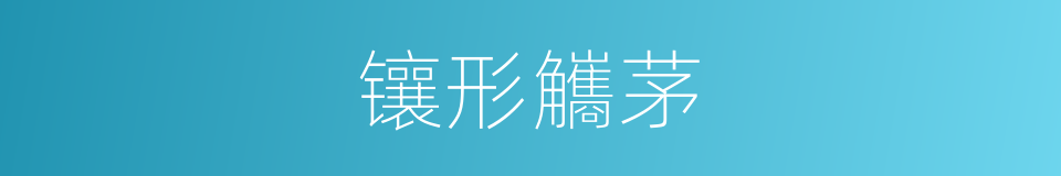 镶形觿茅的同义词
