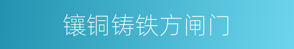 镶铜铸铁方闸门的同义词