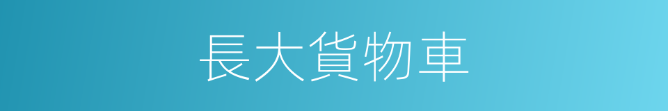 長大貨物車的同義詞