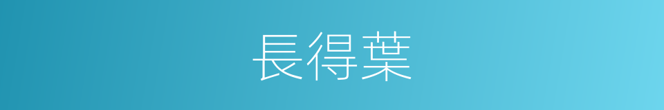 長得葉的同義詞