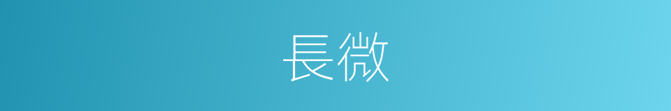 長微的同義詞