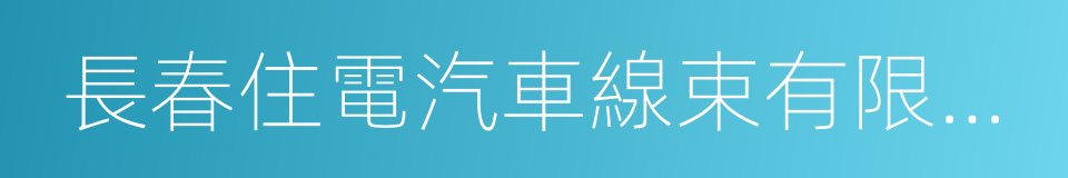 長春住電汽車線束有限公司的同義詞