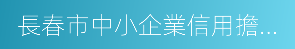 長春市中小企業信用擔保有限公司的同義詞