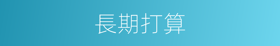 長期打算的意思