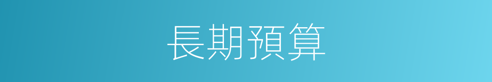 長期預算的同義詞