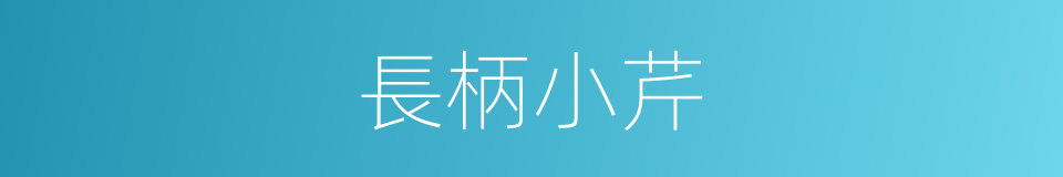 長柄小芹的同義詞
