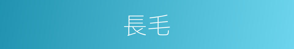 長毛的意思