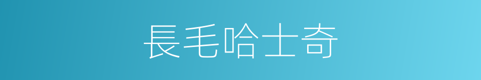 長毛哈士奇的同義詞