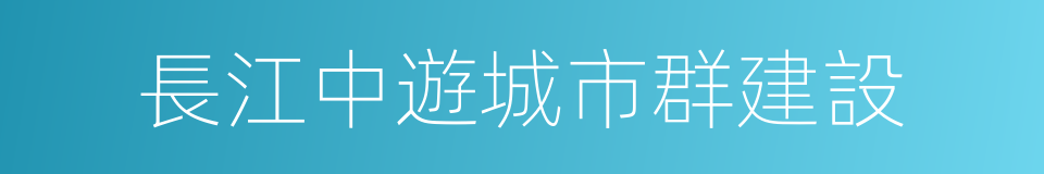 長江中遊城市群建設的同義詞