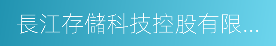 長江存儲科技控股有限責任公司的同義詞