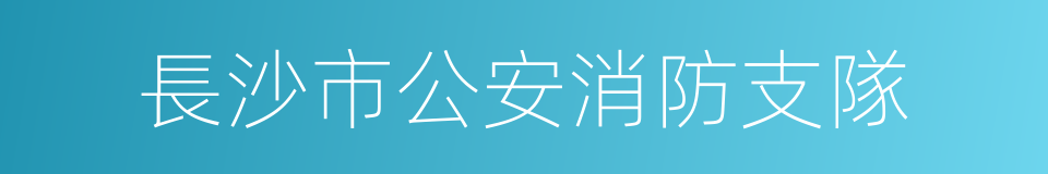 長沙市公安消防支隊的同義詞