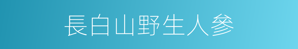 長白山野生人參的同義詞