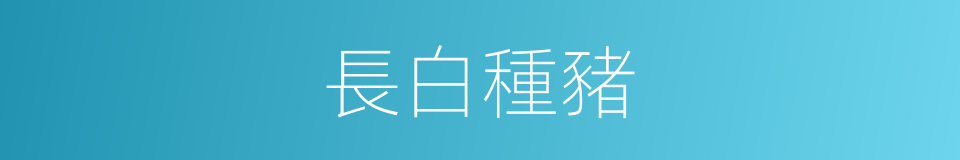 長白種豬的意思
