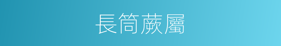 長筒蕨屬的同義詞