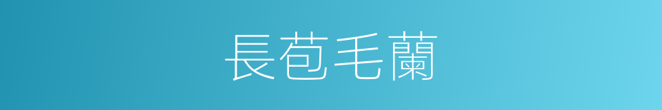 長苞毛蘭的同義詞