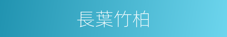 長葉竹柏的同義詞