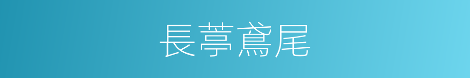 長葶鳶尾的同義詞